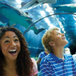 seaworld_orlando_tickets2