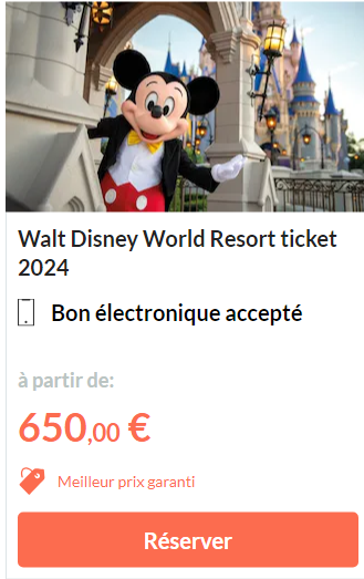 Walt Disney World Resort Ticket 2024