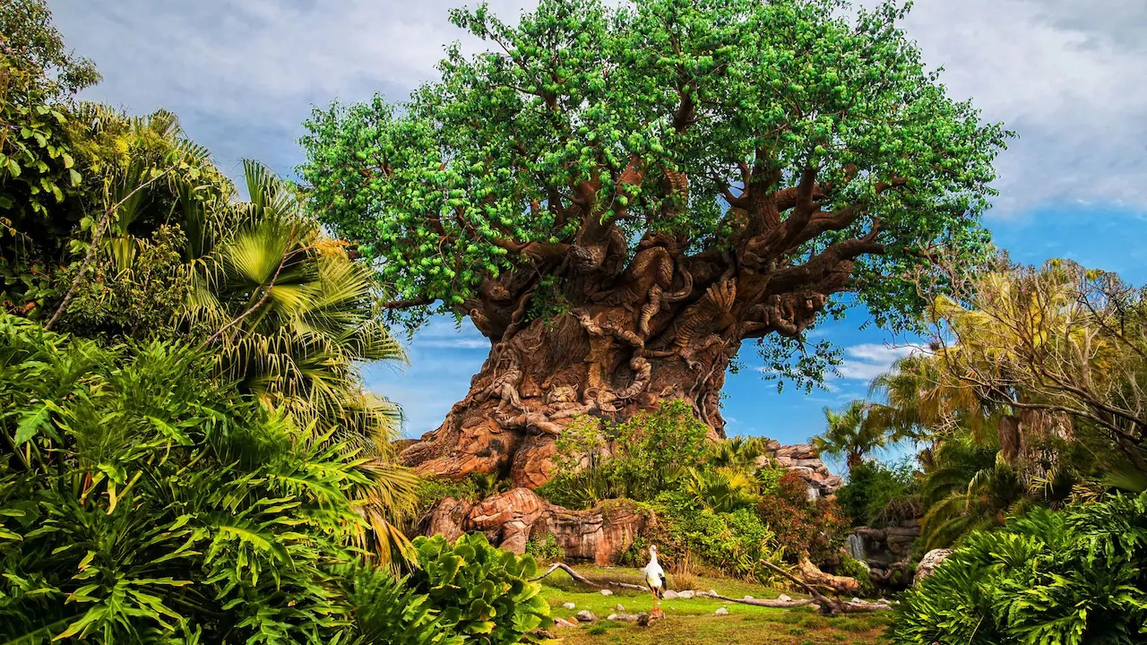 Animal Kingdom