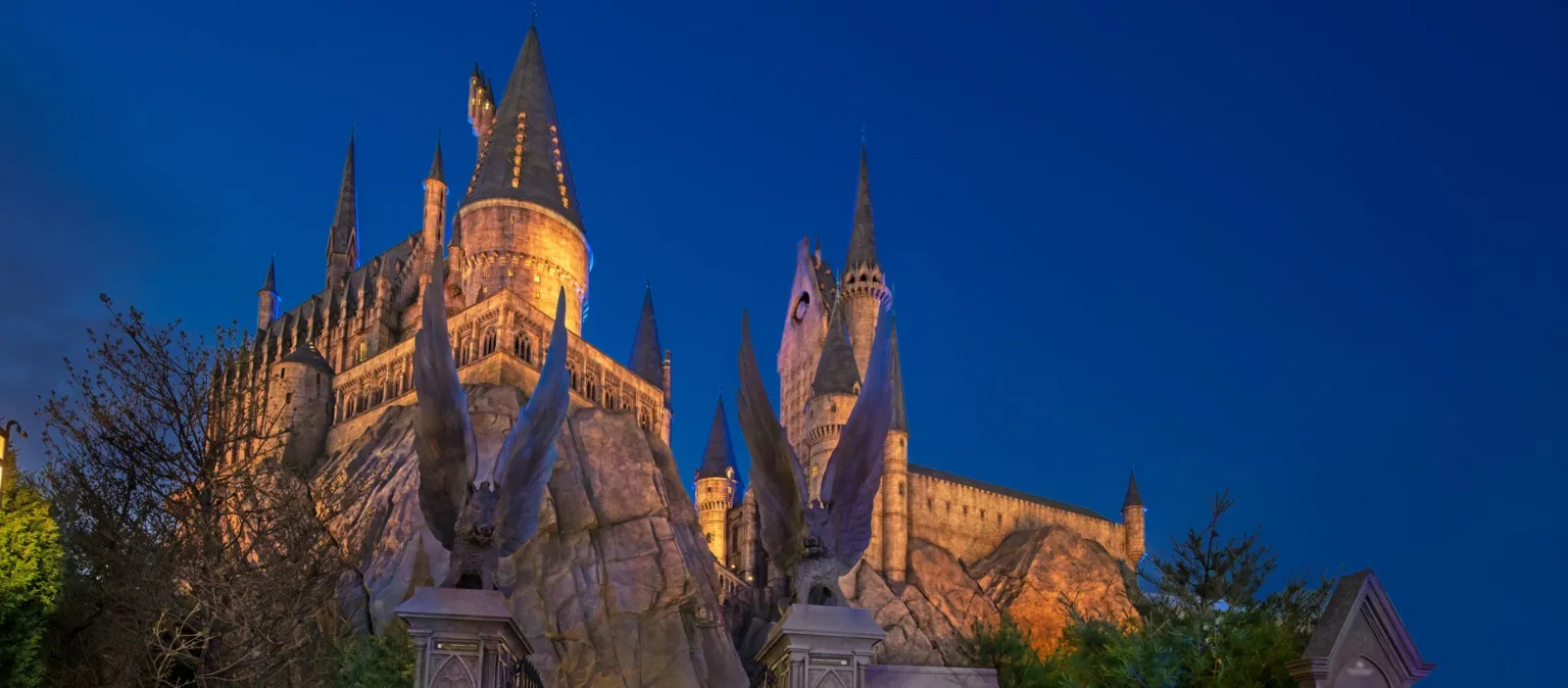 The Wizarding World of Harry Potter™